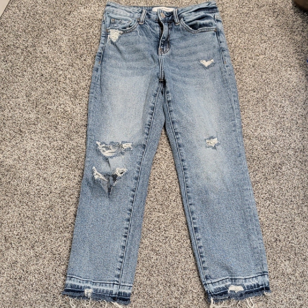 Lovervet Distressed Straight Leg Jeans